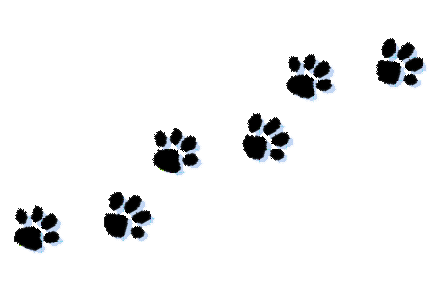dog paw print png dog paw print png